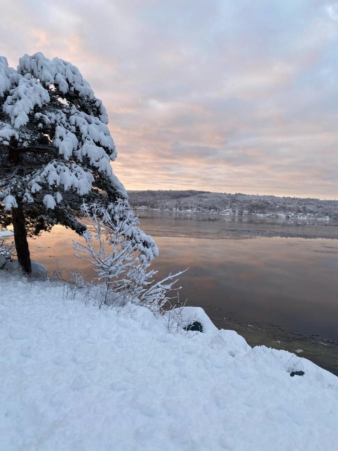 Toba'S Bed & Breakfast Lunenburg Buitenkant foto
