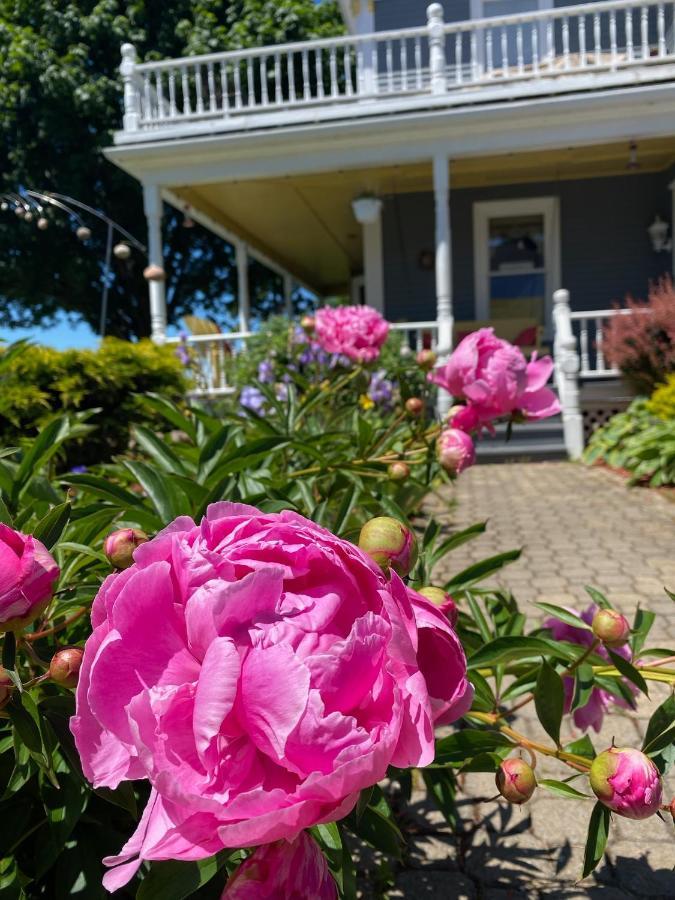 Toba'S Bed & Breakfast Lunenburg Buitenkant foto