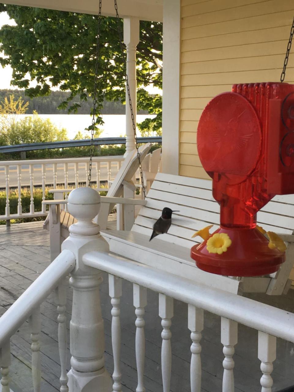 Toba'S Bed & Breakfast Lunenburg Buitenkant foto